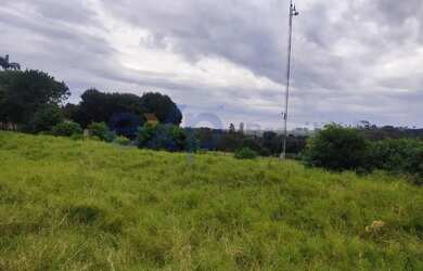 Imagem 6: Chácara em Santa Terezinha de Itaipu - PR