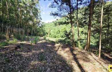 Imagem 2: Sítio / Chácara para Venda em Nova Petrópolis, São Jacó