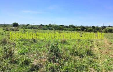 Imagem 13: Sítio 2,50 hectares, muita água, entre Uberlândia e Monte Alegre
