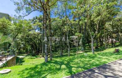 Imagem 9: TERRENO COM FUNDOS PARA APP