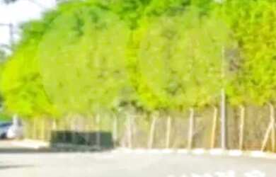 Imagem 15: Galpão para locação em Parque Novo Mundo - SP