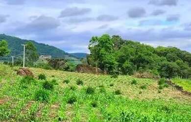 Imagem 11: Sítio / Chácara para Venda em Nova Petrópolis, Nove Colonias