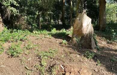 Imagem 8: 114971 CHACRINHA OU TERRENO RURAL NA BEIRA DO RIO COM FIBRA ÓTICA , LUZ...