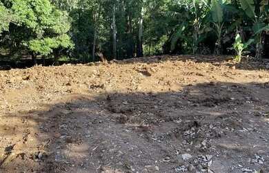 Imagem 12: 114971 CHACRINHA OU TERRENO RURAL NA BEIRA DO RIO COM FIBRA ÓTICA , LUZ...