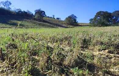 Imagem 5: Ag7- lotes para sua chacara a 3km do asfalto em atibaia