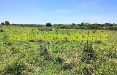 Imagem 12: Sítio 2,50 hectares, muita água, entre Uberlândia e Monte Alegre