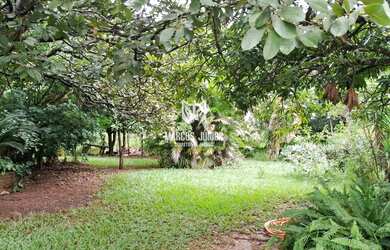 Imagem 14: EXCELENTE CHACARA A 23 KM DE MONTES CLAROS ESTRUTURADA DE 10 MIM M2