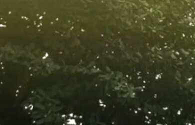 Imagem: A casa possui 4 Dormitórios, 4 Banheiros, 2 Vagas na garagem