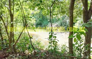 Imagem 5: Sítio 2,50 hectares, muita água, entre Uberlândia e Monte Alegre