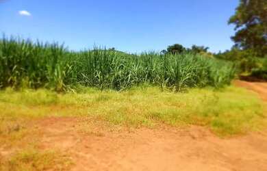 Imagem: A chácara possui 312.000m² de Área e está localizado em
