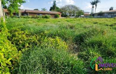 Imagem 4: TERRENO - VILA SANTISTA - SP