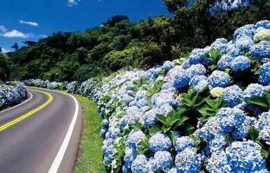 Imagem 9: Terreno de esquina à venda em Canela
