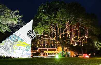 Imagem 16: LOTE PLANO. 350m² de Área