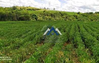 Imagem 3: Sítio à venda, 484000 m² por R$ 8.000.000,00 - Jardim Alto da Boa Vista...