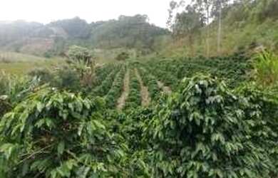 Imagem: A chácara possui 89.000m² de Área e está localizado em