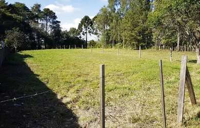 Imagem: O terreno possui 1.900m² de Área e está localizado em Palmeira