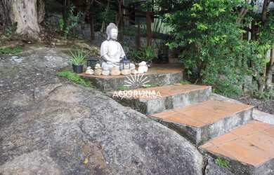 Imagem 13: Casa 3 dormitórios para alugar Barra da Lagoa Florianópolis/SC