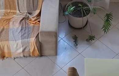 Imagem 4: Linda casa em Cabo Frio. Varanda, 3 Vagas na garageme5 Dormitórios