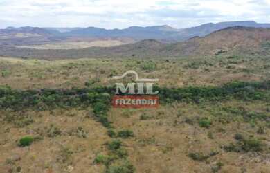 Imagem: A fazenda possui 500m² de Área e está localizado em Colinas
