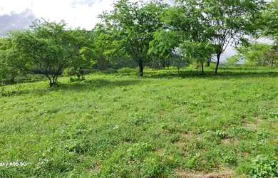 Imagem 15: FAZENDA EM BOA VISTA DO TUPIM - 1200 TAREFAS