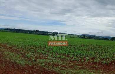 Imagem: A fazenda possui 500m² de Área e está localizado em Centro