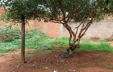 Imagem 11: VENDO CASA NO JARDINS DO CERRADO 2