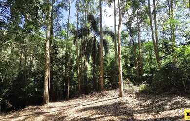 Imagem 3: Sítio / Chácara para Venda em Nova Petrópolis, São Jacó
