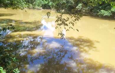 Imagem 5: Sitio 9 hectares e meia valor 295.000