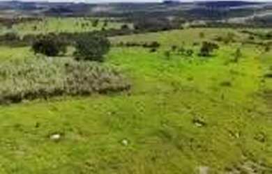 Imagem: A fazenda possui 1m² de Área e está localizado em Cocalzinho