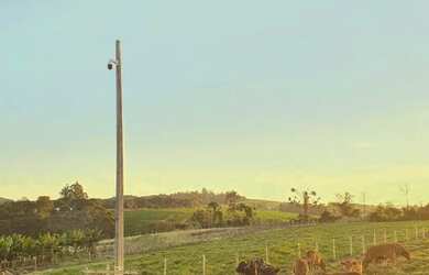 Imagem 5: OPORTUNIDADE CHÁCARA 2,5 Alq. A VENDA 18km de cascavel