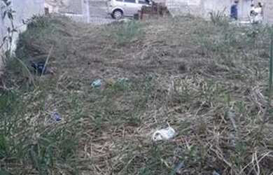 Imagem 3: Terreno plano. 200m² de Área