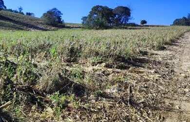 Imagem 6: Ag7- lotes para sua chacara a 3km do asfalto em atibaia