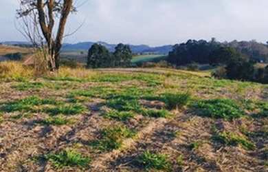 Imagem 2: Lote/Terreno para venda com 500 metros quadrados em Jardim das Cerejeiras...