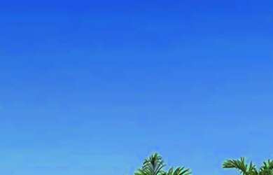 Imagem 3: Tropical Village? 2/4 com suite e varanda