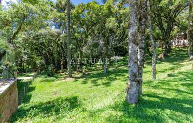 Imagem 7: TERRENO COM FUNDOS PARA APP