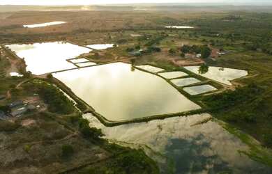 Imagem: A fazenda possui 300m² de Área e está localizado em Aguaçu