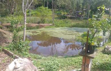 Imagem 4: Vendo ou troco por casa em Fazenda Rio Grande-Pr