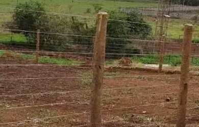 Imagem: A fazenda possui 1000m² de Área e está localizado em Setor