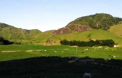 Imagem 10: Fazenda 120 Alqueires - Fundão