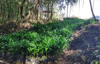 Imagem: A fazenda possui 500000-0m² de Área e está localizado em