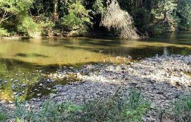 Imagem 10: 114971 CHACRINHA OU TERRENO RURAL NA BEIRA DO RIO COM FIBRA ÓTICA , LUZ...