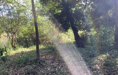 Imagem 14: 114971 CHACRINHA OU TERRENO RURAL NA BEIRA DO RIO COM FIBRA ÓTICA , LUZ...