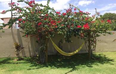 Imagem 6: Alugo casa temporada 20/12 a 02/01 - Arembepe