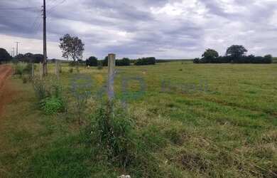 Imagem 9: Chácara em Santa Terezinha de Itaipu - PR