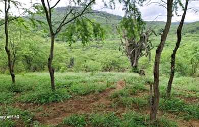Imagem 9: FAZENDA EM BOA VISTA DO TUPIM - 1200 TAREFAS
