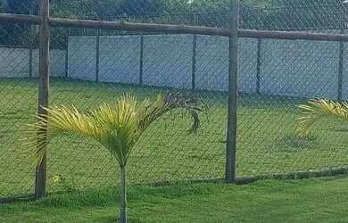 Imagem 4: Linda Casa, Fino Acabamento, 4/4, Piscina, Cond. Fechado, Praia Privativa