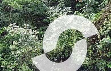 Imagem 4: Terreno à venda, 3140 m² por R$ 110.000,00 - Pendotiba - Niterói/RJ