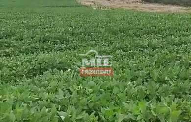 Imagem: A fazenda possui 500m² de Área e está localizado em Doverlândia