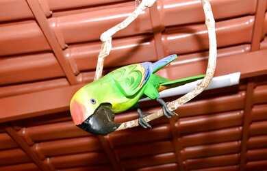 Imagem 13: Casa de aluguel para Temporada - Luiz Alves - Rio Araguaia