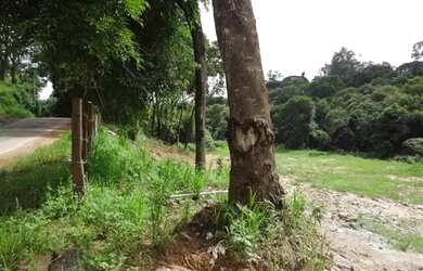 Imagem 9: Chácaras para venda em Jundiaí no bairro Jundiaí Mirim